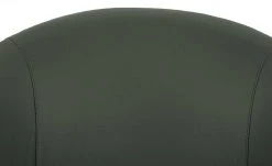 Wohnwert Leder-Schalenstuhl Jalto | Verde (Dunkelgrün) Nein -Stuhle Geschaft 15301192 9 202107021243