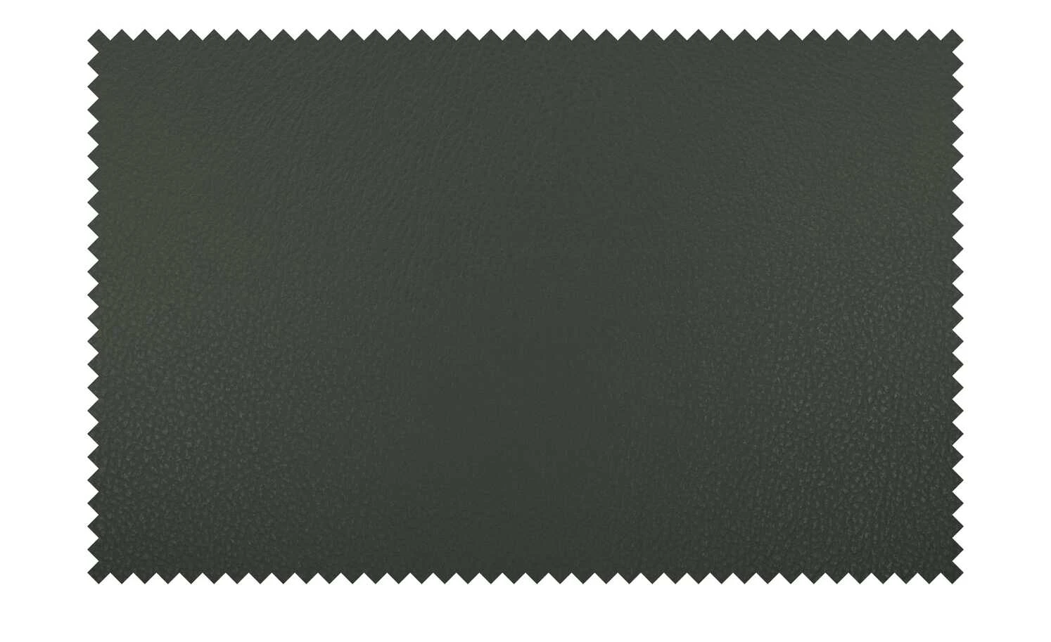 Wohnwert Leder-Schalenstuhl Jalto | Verde (Dunkelgrün) Ja 11 Wohnwert Leder-Schalenstuhl Jalto | Verde (Dunkelgrün) Ja – Bild 9