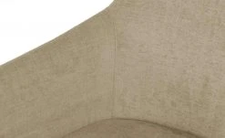 Wohnwert Armlehn-Polsterstuhl Fina | Beige Nein -Stuhle Geschaft 15301200 4 202106292232