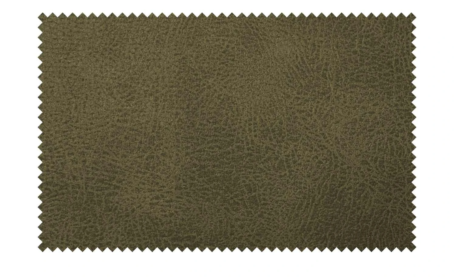 Kufenstuhl mit Griff | Grün 10 Kufenstuhl mit Griff | Grün – Bild 8