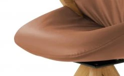 Wohnwert Armlehnstuhl Novum | Cognac mit Elastic-Aktiv-Federung (gesundes Sitzen) 14 Wohnwert Armlehnstuhl Novum | Cognac mit Elastic-Aktiv-Federung (gesundes Sitzen) -Stuhle Geschaft 15304634 2 202112221257