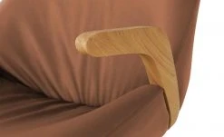 Wohnwert Armlehnstuhl Novum | Cognac mit Elastic-Aktiv-Federung (gesundes Sitzen) 15 Wohnwert Armlehnstuhl Novum | Cognac mit Elastic-Aktiv-Federung (gesundes Sitzen) -Stuhle Geschaft 15304634 3 202112221257