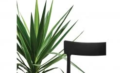 Connubia Stuhl stapelbar Argo | Schwarz -Stuhle Geschaft 15304861 2 202111121257