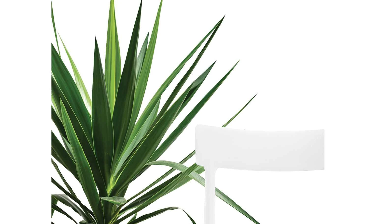 Connubia Stuhl stapelbar Argo | Schneeweiß 5 Connubia Stuhl stapelbar Argo | Schneeweiß – Bild 3