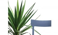 Connubia Stuhl stapelbar Argo | Sky Blue (Blau) -Stuhle Geschaft 15304863 3 202111121256