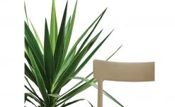 Connubia Stuhl stapelbar Argo | Haselnussbraun (Hellbraun) 10 Connubia Stuhl stapelbar Argo | Haselnussbraun (Hellbraun) -Stuhle Geschaft 15304864 4 202111121257