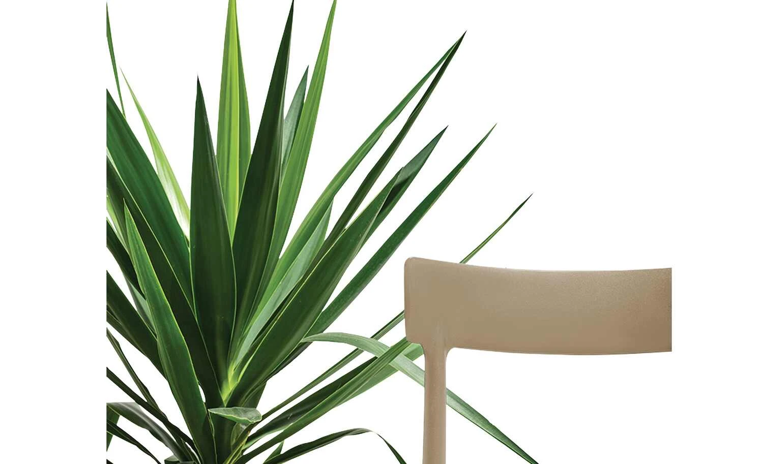 Connubia Stuhl stapelbar Argo | Haselnussbraun (Hellbraun) 5 Connubia Stuhl stapelbar Argo | Haselnussbraun (Hellbraun) – Bild 3