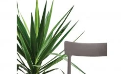 Connubia Stuhl stapelbar Argo | Taubengrau -Stuhle Geschaft 15304865 2 202111121257