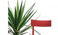 Connubia Stuhl stapelbar Argo | Rot -Stuhle Geschaft 15304867 3 202111121257