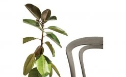 Connubia Stuhl stapelbar Caffe | Taubengrau -Stuhle Geschaft 15304872 2 202111152233