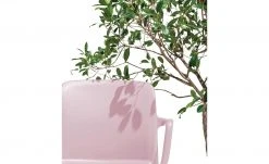 Connubia Stuhl stapelbar Bayo | Altrosa Ja 14 Connubia Stuhl stapelbar Bayo | Altrosa Ja -Stuhle Geschaft 15304887 4 202111152233