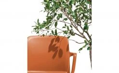 Connubia Stuhl stapelbar Bayo | Safran (Orange) Ja -Stuhle Geschaft 15304888 4 202111152233