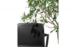 Connubia Stuhl stapelbar Bayo | Schwarz Ja -Stuhle Geschaft 15304890 2 202111152233