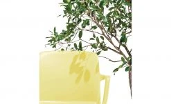 Connubia Stuhl stapelbar Bayo | Zitronengelb Ja 14 Connubia Stuhl stapelbar Bayo | Zitronengelb Ja -Stuhle Geschaft 15304893 3 202111152233