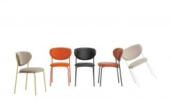 Connubia Polsterstuhl Cozy | Safran (Orange) / Schwarz