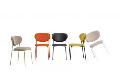 Connubia Polsterstuhl Cozy | Zitronengelb / Schwarz