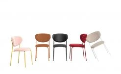 Connubia Polsterstuhl Cozy | Safran (Orange)