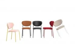 Connubia Polsterstuhl Cozy | Safran (Orange) / Schwarz