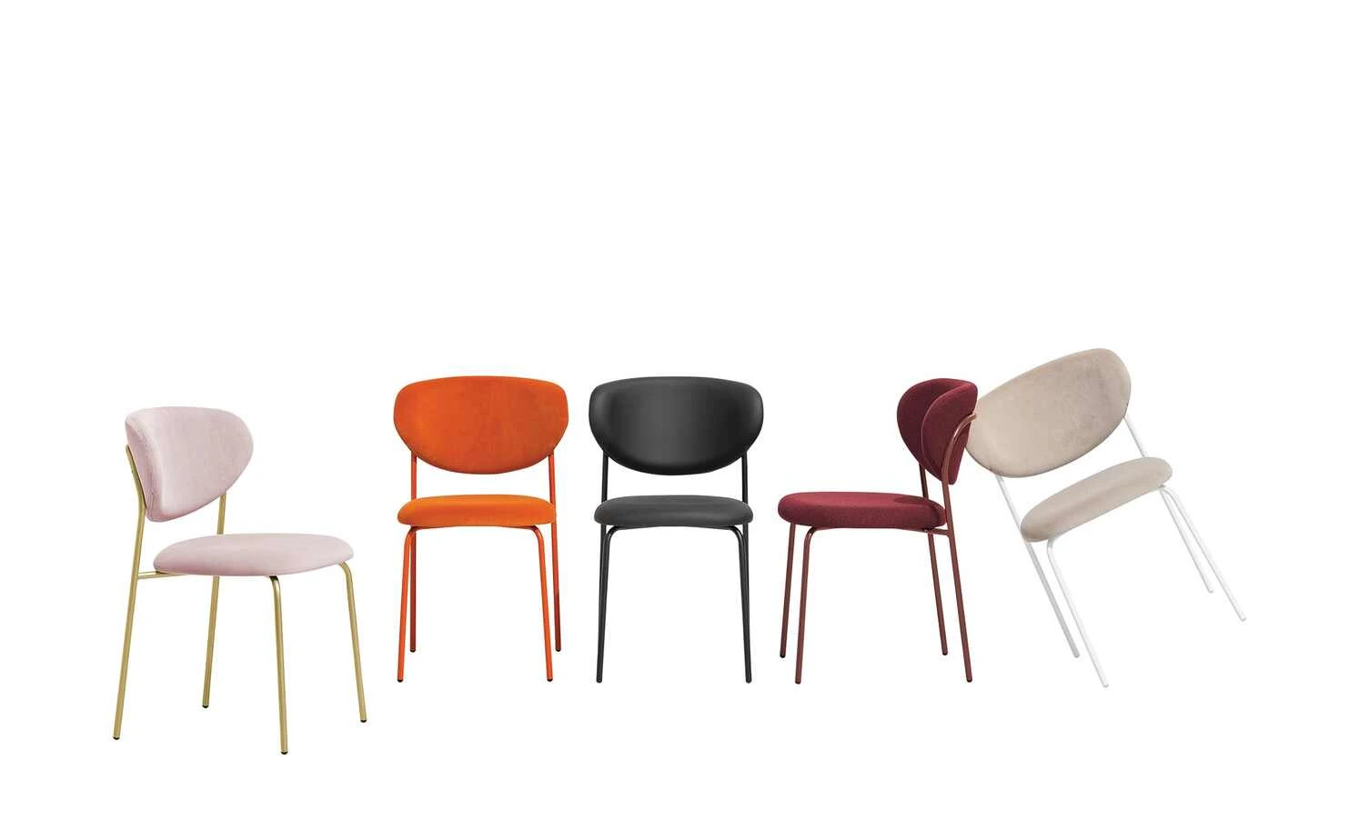 Connubia Polsterstuhl Cozy | Rosa 3 Connubia Polsterstuhl Cozy | Rosa