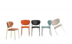 Connubia Polsterstuhl Cozy | Safran (Orange)