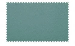 uno Leder-Freischwinger Sammy | Petrol -Stuhle Geschaft 15305219 14 202208311235