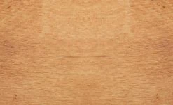 Dine + Mine Polsterstuhl Xalapa | Nachtblau Akaziefarbig Nein -Stuhle Geschaft 15307032 9 202205251237