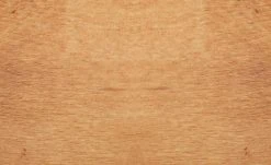 Dine + Mine Polsterstuhl Corby | Lichtgrau Akaziefarbig Nein -Stuhle Geschaft 15307081 8 202206162233