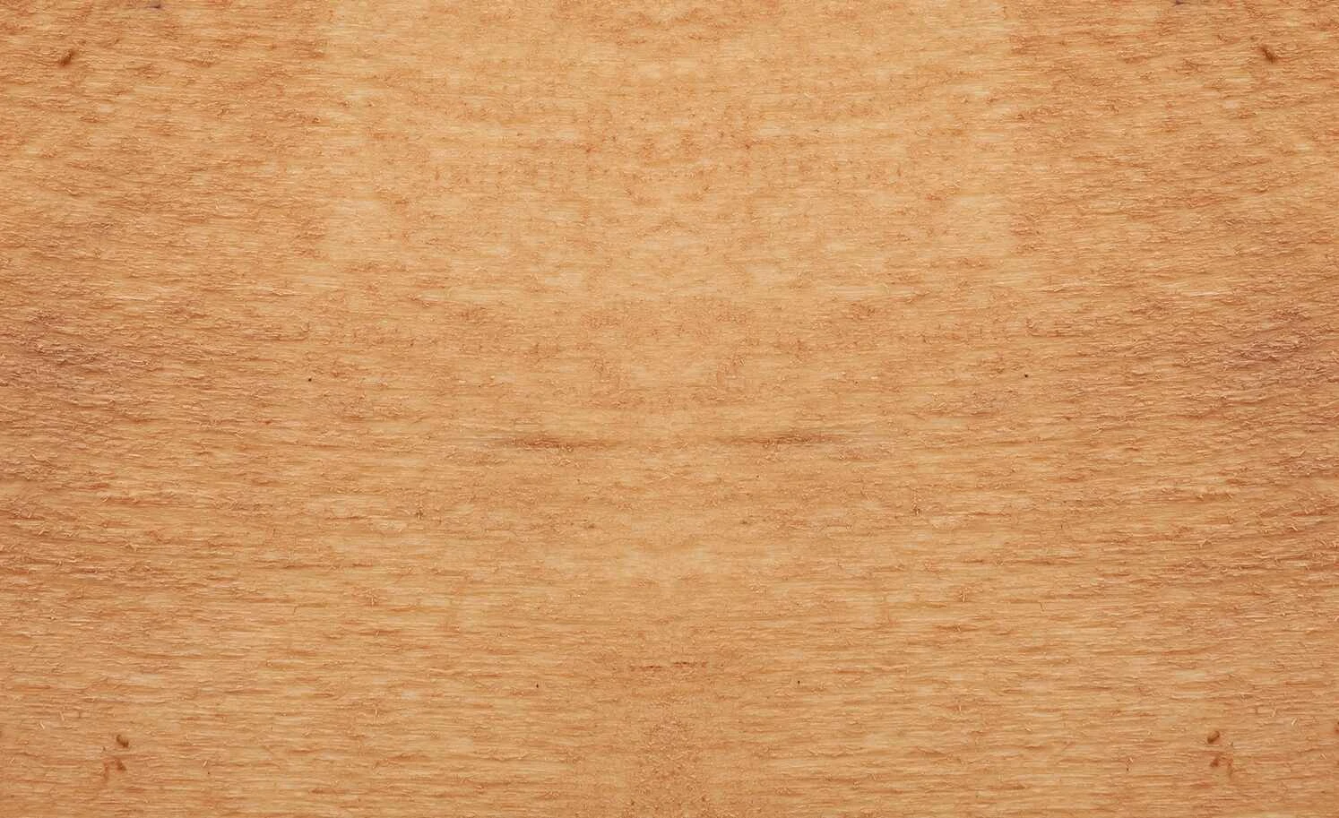 Dine + Mine Polsterstuhl Nador | Anthrazit Akazie (Nachbildung) Nein 8 Dine + Mine Polsterstuhl Nador | Anthrazit Akazie (Nachbildung) Nein – Bild 6