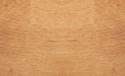 Dine + Mine Polsterstuhl Nador | Bordeaux Akazie (Nachbildung) Nein -Stuhle Geschaft 15307111 2 202207081237