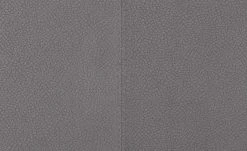 Wohnwert Polsterstuhl Botho | Kiesel (Hellgrau) Schaumstoff -Stuhle Geschaft 15307446 4 202209212234