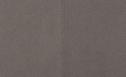 Wohnwert Polsterstuhl Botho | Taupe (Hellbraun) Schaumstoff -Stuhle Geschaft 15307447 2 202209212234