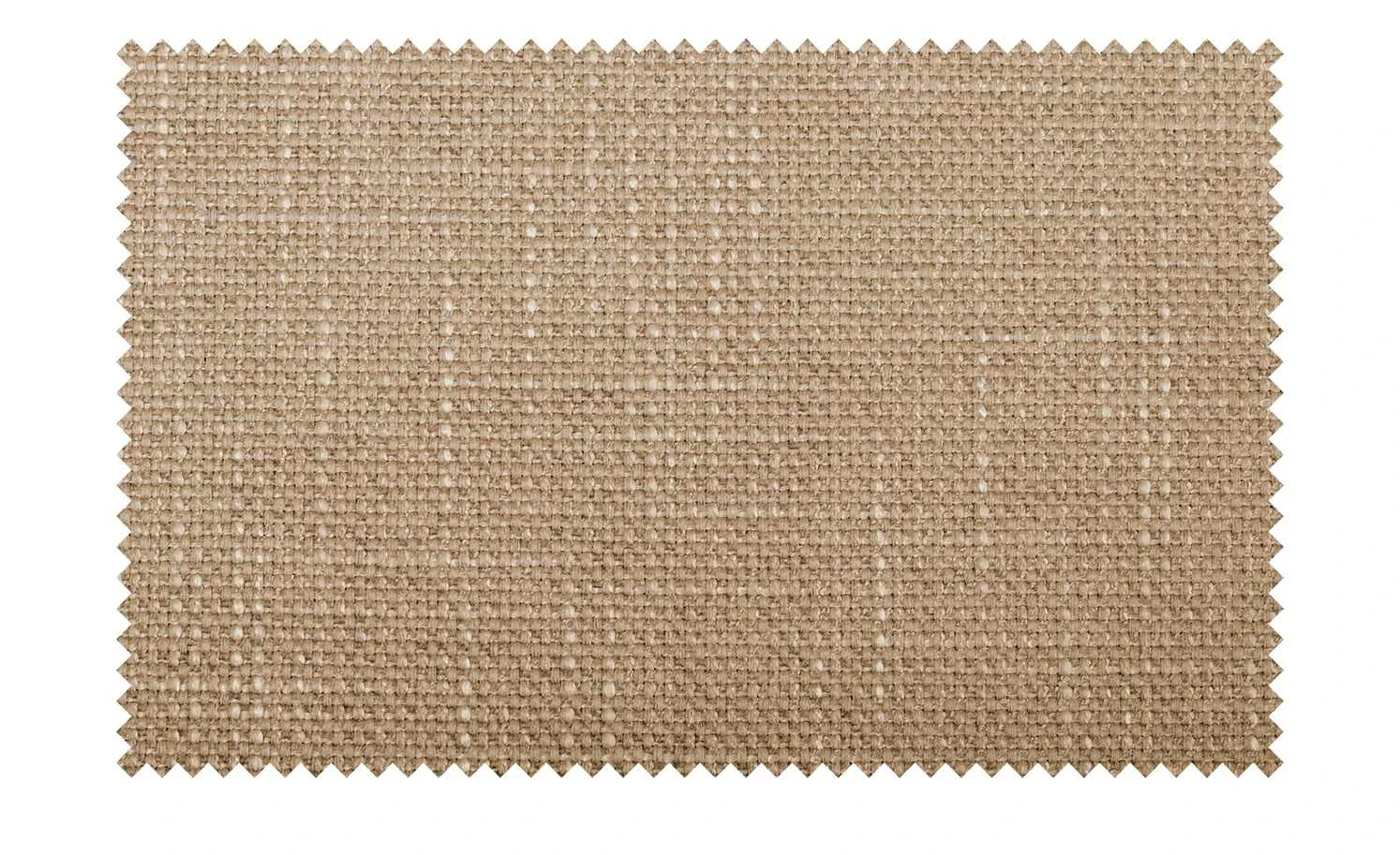 Polsterstuhl 4ever | Sand (Beige) Buche natur Nein Gurtfederung 13 Polsterstuhl 4ever | Sand (Beige) Buche natur Nein Gurtfederung – Bild 11